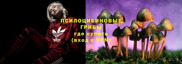 ECSTASY Абаза
